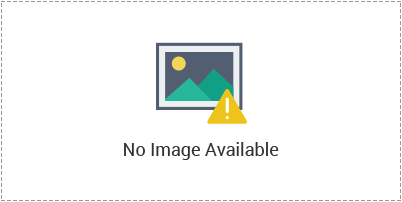 Uploaded Image