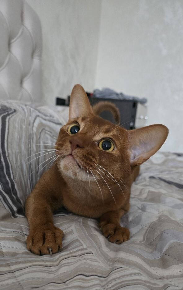 photo2026-02-0813-45-03