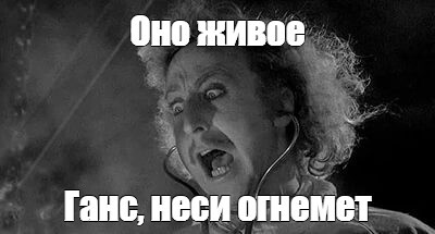 24a135f58a6f91093e02dd19b3ec2254-4016573800