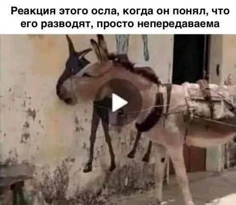 02e398da-8f95-48a7-80e3-54d57043d052