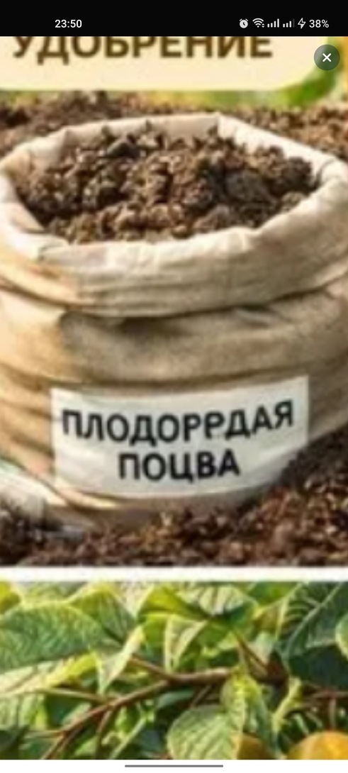 Screenshot2026-03-13-23-50-27-339ecc93bf6683d0fd0fd501ae5792979e