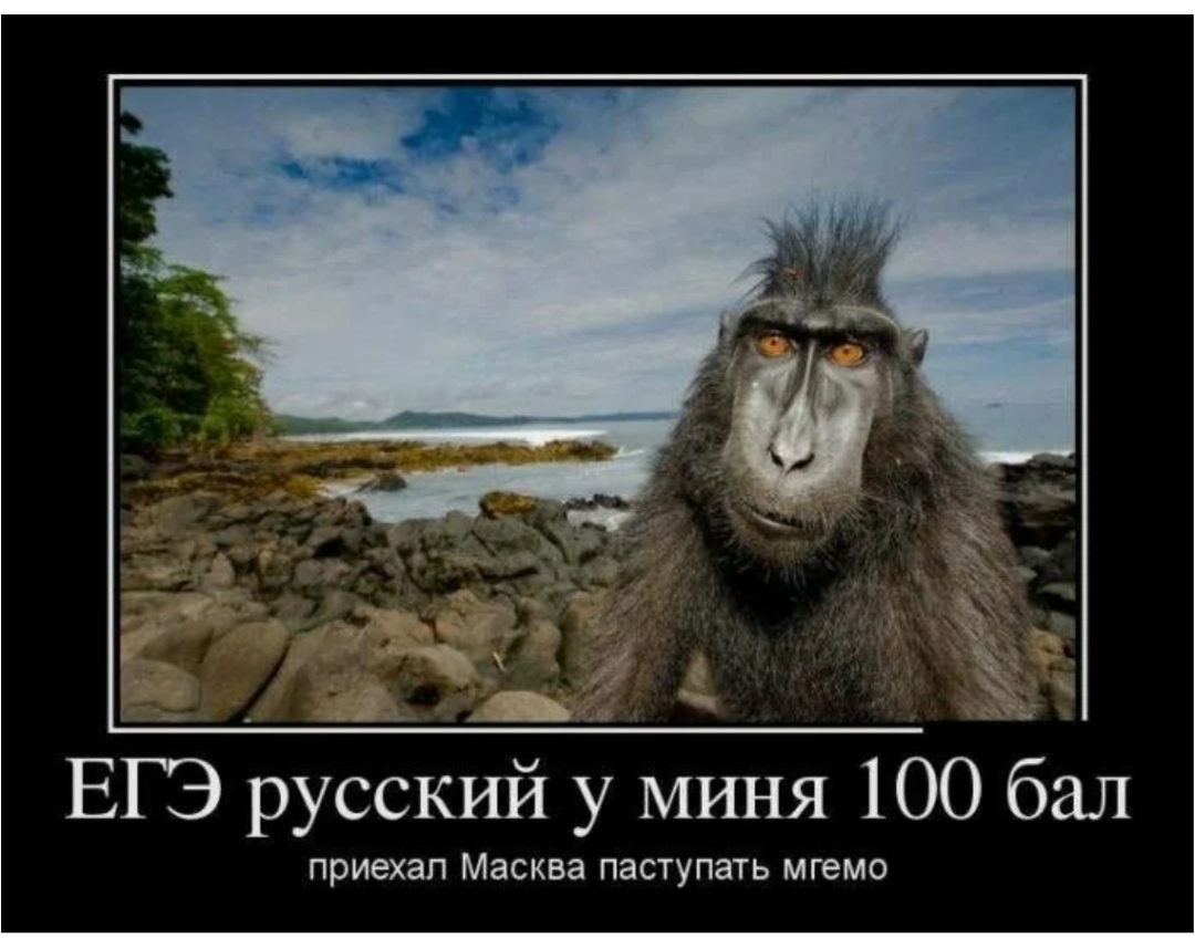 7349
