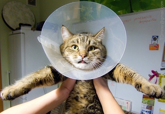 imagepickerD2D4A267-82C3-4B44-90B6-515C23BFF964-72927-0000064F793A2F08