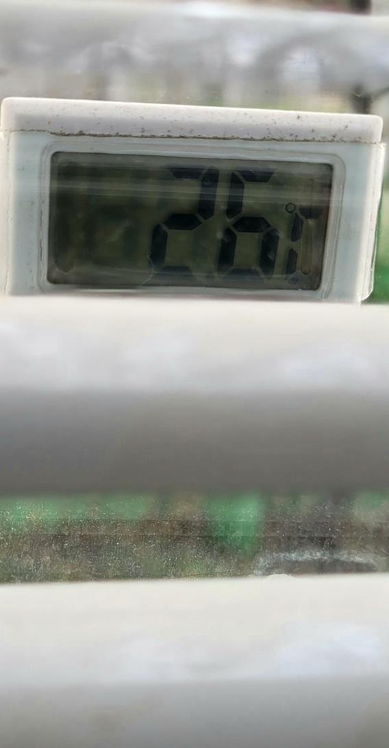 1000093703