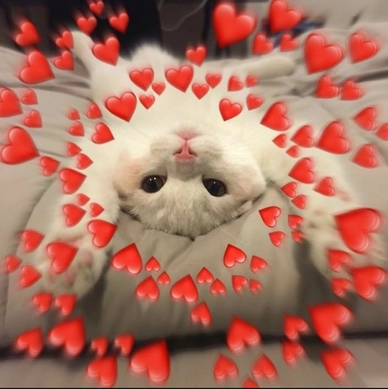 675