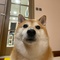 aIoetosasha