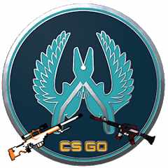 textcsgo_
