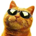 goldenpower