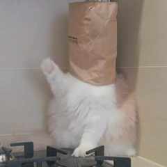 Ярослав_Григорьев