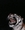 Pat_Fines