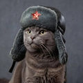 Александр621