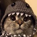 Mar_lord