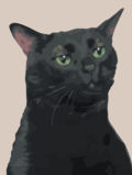 Кот-Бергамот