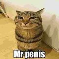 mr_penis