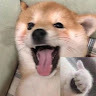 yinyiday962