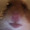 leonchick02289