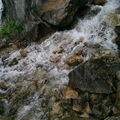 ruslan.sckorohodov2012766