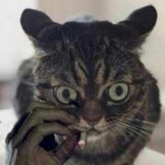 удалено111808