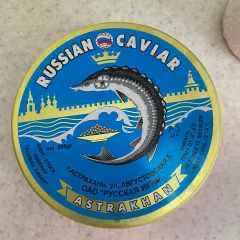 ГАДЫНА_СУДА