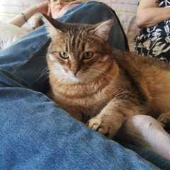 Максим_Околелов