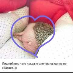 вини