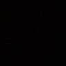rarik_24
