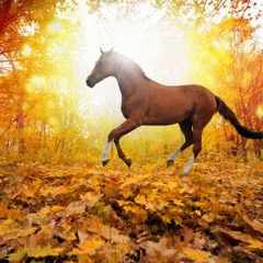 удалено130659