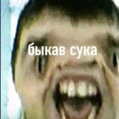 IgorDid