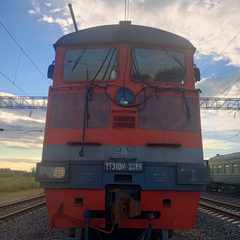 Zheka_M