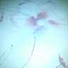LOKON_STRASTI