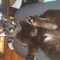 user_photo