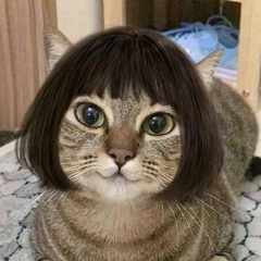 andRAYka