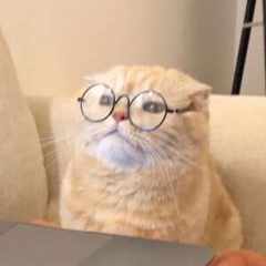 удалено149612