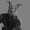 Leo.Lovecraft