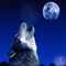 Wolf065