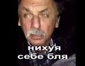 Боровик_