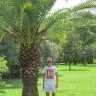 archee8