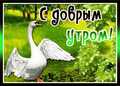 Алекс_Волкан4A