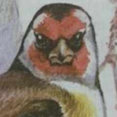 Макс_Котяткин