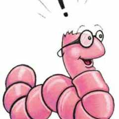 Дмитрий_Скворцов