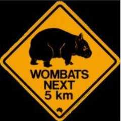 Just_a_Wombat