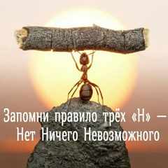 maks888