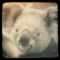 user_photo