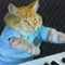 user_photo