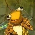 Bee_boom