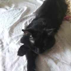 Виталий_КaQj