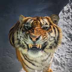 Sher_Hahn