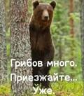 пупупу