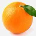 gorport