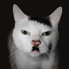 Биткойн_Абрамович_Чпокман